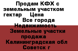 Продам КФХ с земельным участком 516 гектар. › Цена ­ 40 000 000 - Все города Недвижимость » Земельные участки продажа   . Калининградская обл.,Советск г.